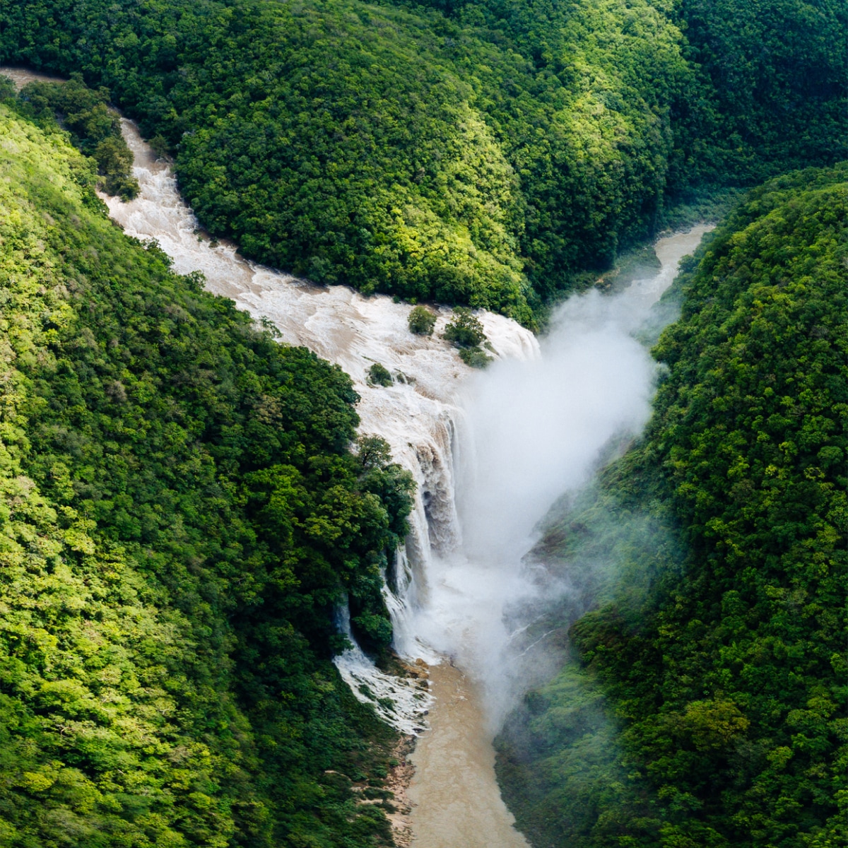 PATRÓN Tequila partnership with Charco Bendito for support in water basin projects in Mexico to improve water accessibility and quality.