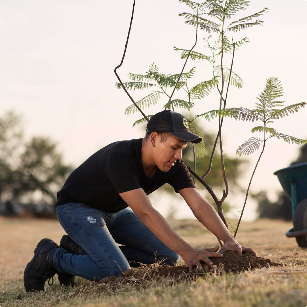 Planting agave flowers and mesquite trees around Hacienda PATRÓN, to create an environment that supports natural pollinators such as bats and bees.