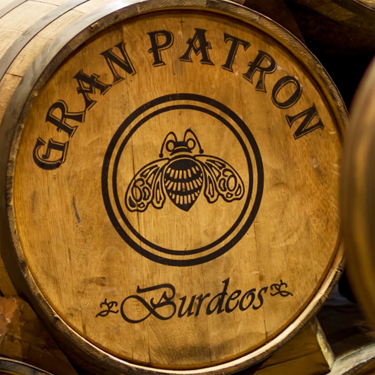 Gran Patrón Burdeos in barrels for aging.