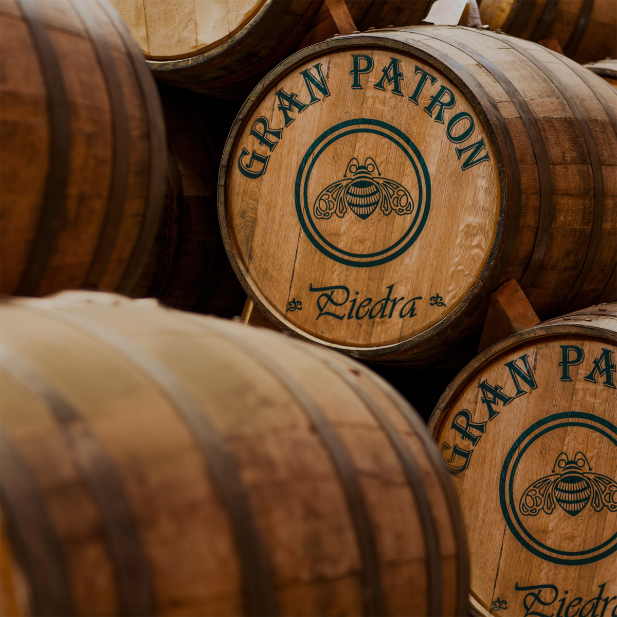 GRAN PATRÓN Piedra in barrels for aging.