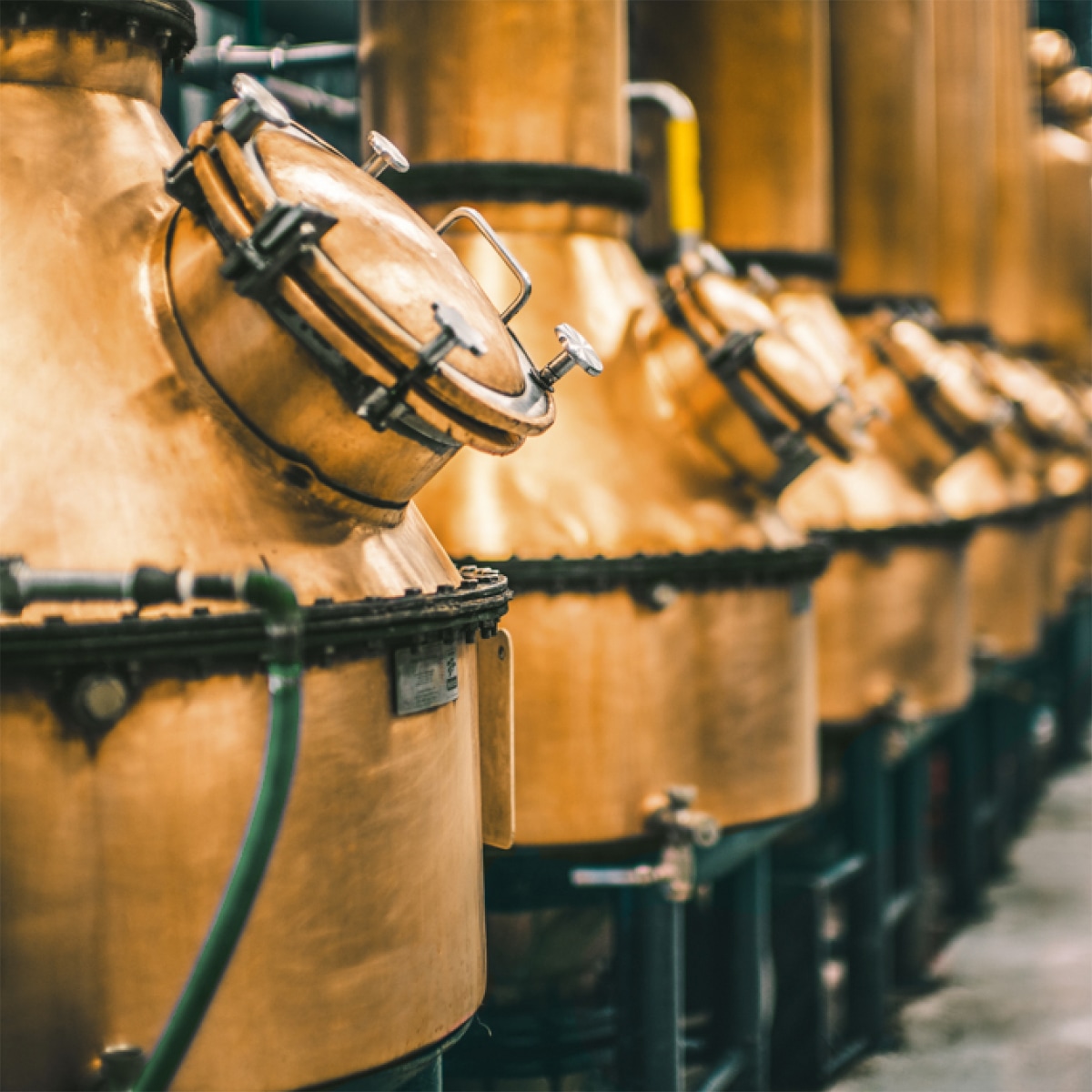 Patrón Añejo Tequila in barrels being aged for at least one year.